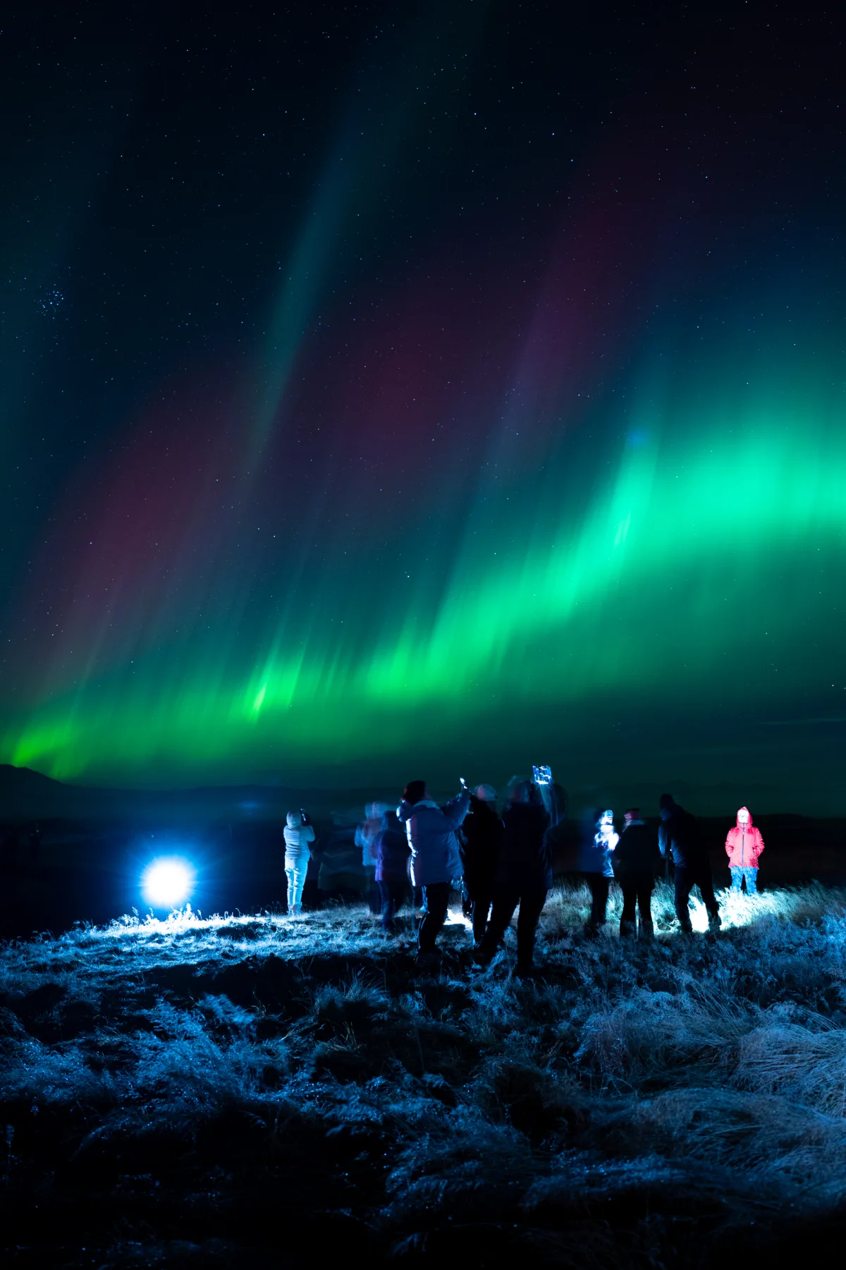 Grupo observando a aurora boreal na Islândia